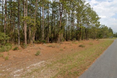 Land in Citrus Springs, Florida № 2163393 - photo 2