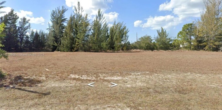 Land in Cape Coral, Florida № 1914027