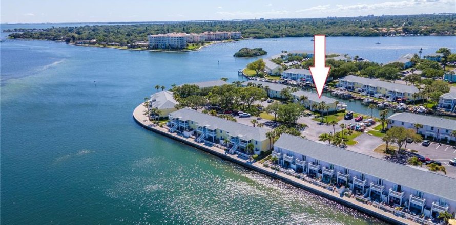 Condo in Saint Petersburg, Florida, 1 bedroom  № 1765759