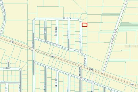 Land in Belleview, Florida № 2162896 - photo 3