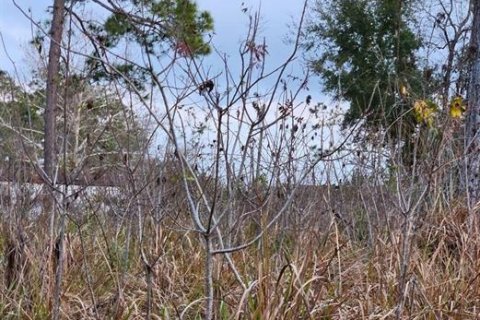 Land in Belleview, Florida № 2162896
