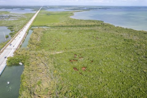 Terreno en Miami, Florida № 2055292