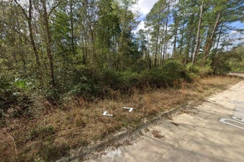 Land in Interlachen, Florida № 2211815 - photo 3