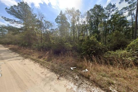 Land in Interlachen, Florida № 2211815 - photo 4
