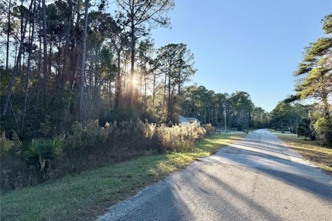 Land in Eustis, Florida № 2159592 - photo 7