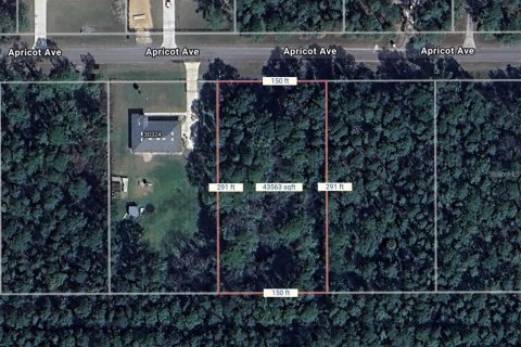 Land in Eustis, Florida № 2159592