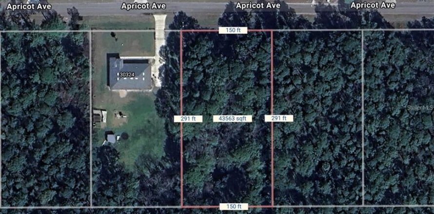 Land in Eustis, Florida № 2159592