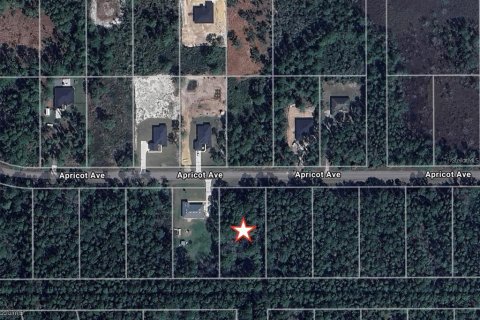 Land in Eustis, Florida № 2159592 - photo 2
