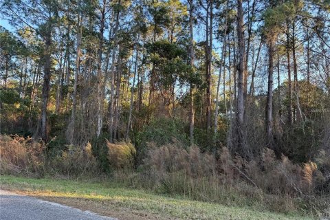 Land in Eustis, Florida № 2159592 - photo 5
