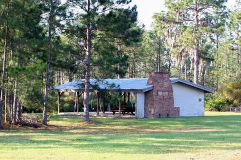 Land in Eustis, Florida № 2159592 - photo 8