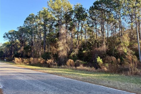 Land in Eustis, Florida № 2159592 - photo 4