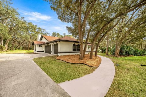 Villa ou maison à vendre à Hernando, Floride: 3 chambres, 246.01 m2 № 2334219 - photo 3