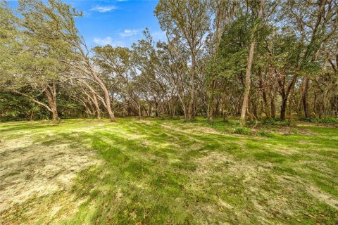 Villa ou maison à vendre à Hernando, Floride: 3 chambres, 246.01 m2 № 2334219 - photo 8