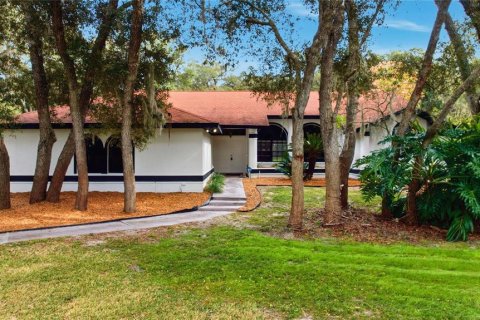 House in Hernando, Florida 3 bedrooms, 246.01 sq.m. № 2334219