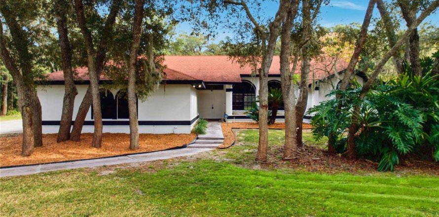 Villa ou maison à Hernando, Floride 3 chambres, 246.01 m2 № 2334219
