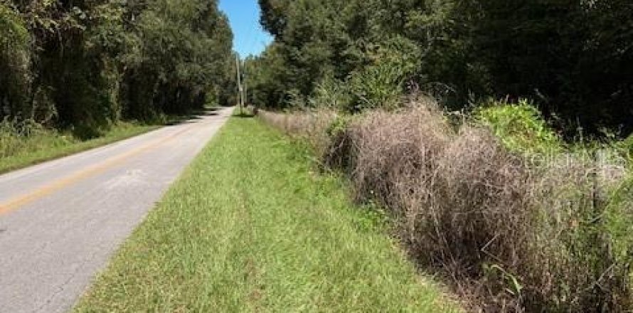 Land in Lake City, Florida № 1561711