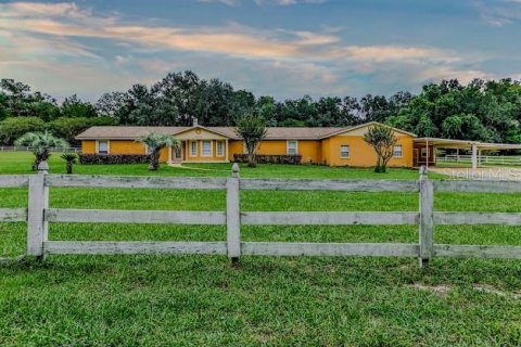Villa ou maison à vendre à Gainesville, Floride: 5 chambres, 344.85 m2 № 2415138 - photo 2