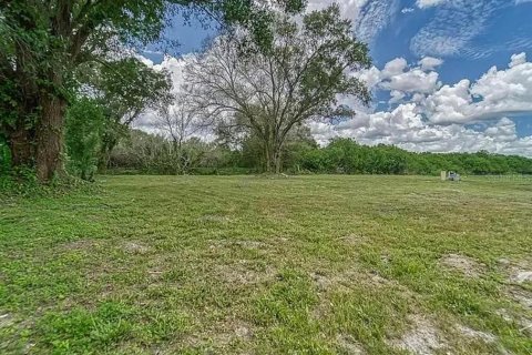 Land in Tampa, Florida № 2214815 - photo 4
