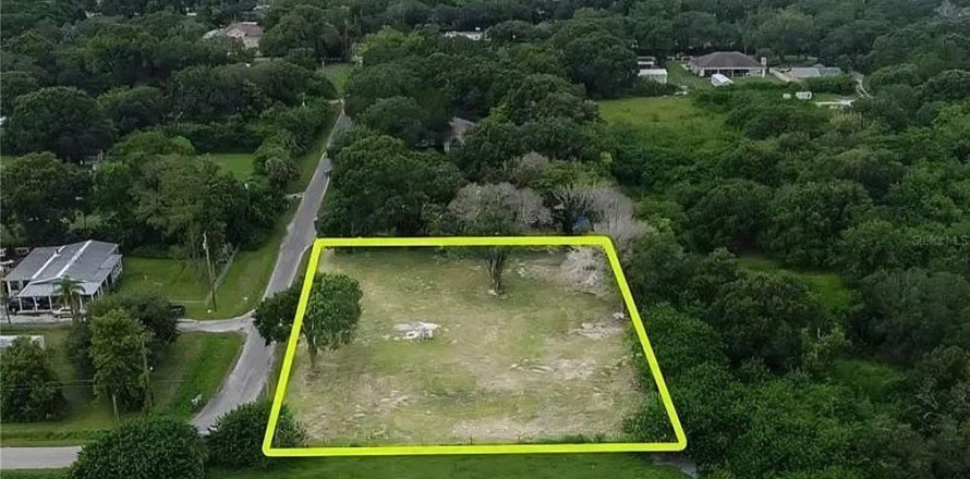 Land in Tampa, Florida № 2214815