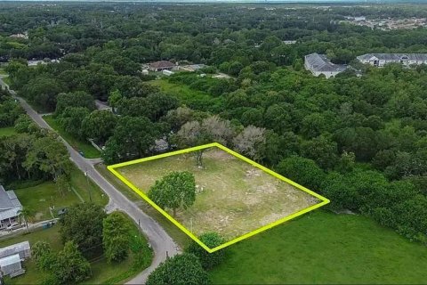 Land in Tampa, Florida № 2214815 - photo 2