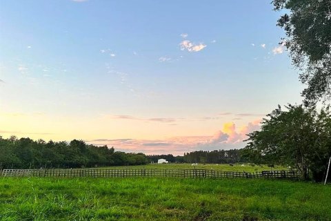 Land in Tampa, Florida № 2214815 - photo 3