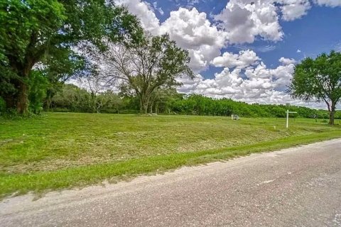 Land in Tampa, Florida № 2214815 - photo 5