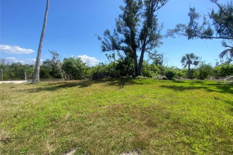 Land in Captiva, Florida № 1536298 - photo 6