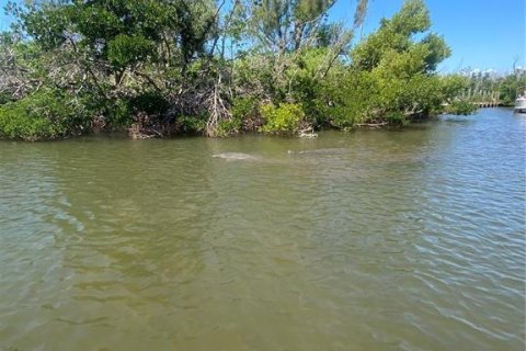 Land in Captiva, Florida № 1536298 - photo 21