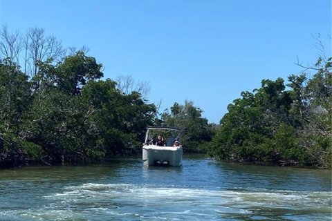 Land in Captiva, Florida № 1536298 - photo 13