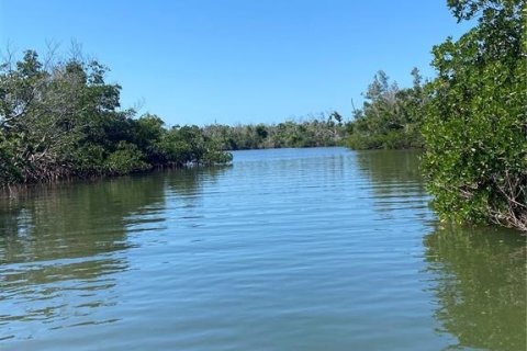 Land in Captiva, Florida № 1536298 - photo 24