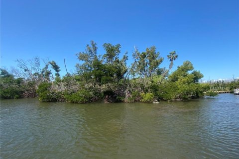 Land in Captiva, Florida № 1536298 - photo 3
