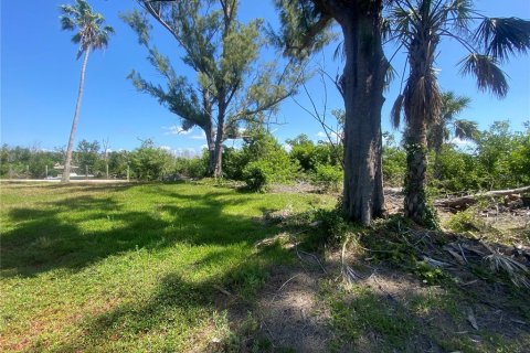 Land in Captiva, Florida № 1536298 - photo 5