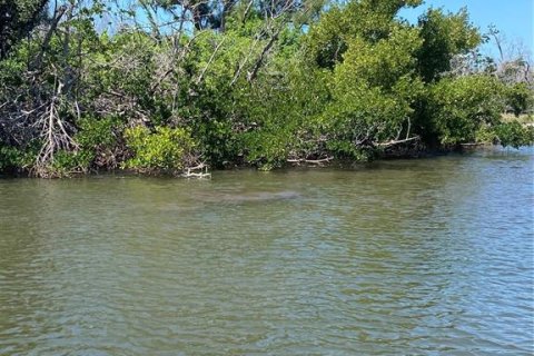 Land in Captiva, Florida № 1536298 - photo 23