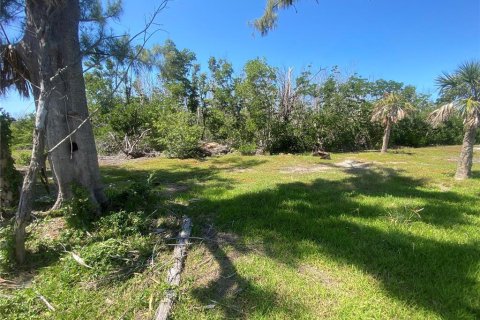 Land in Captiva, Florida № 1536298 - photo 7