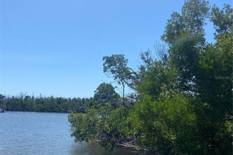 Land in Captiva, Florida № 1536298 - photo 15
