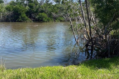 Land in Captiva, Florida № 1536298 - photo 8