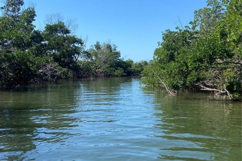 Land in Captiva, Florida № 1536298 - photo 25