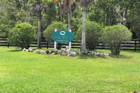 Land in Wildwood, Florida № 1252904 - photo 4