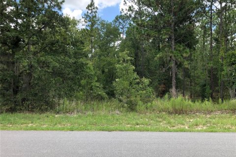 Land in Wildwood, Florida № 1252904 - photo 7