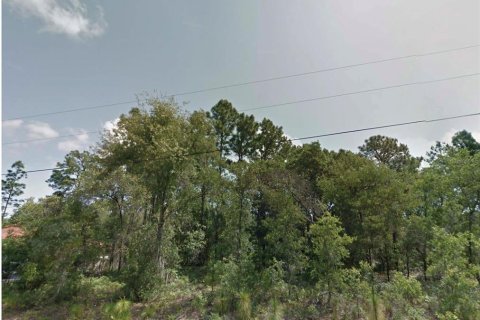 Land in Citrus Springs, Florida № 2161045