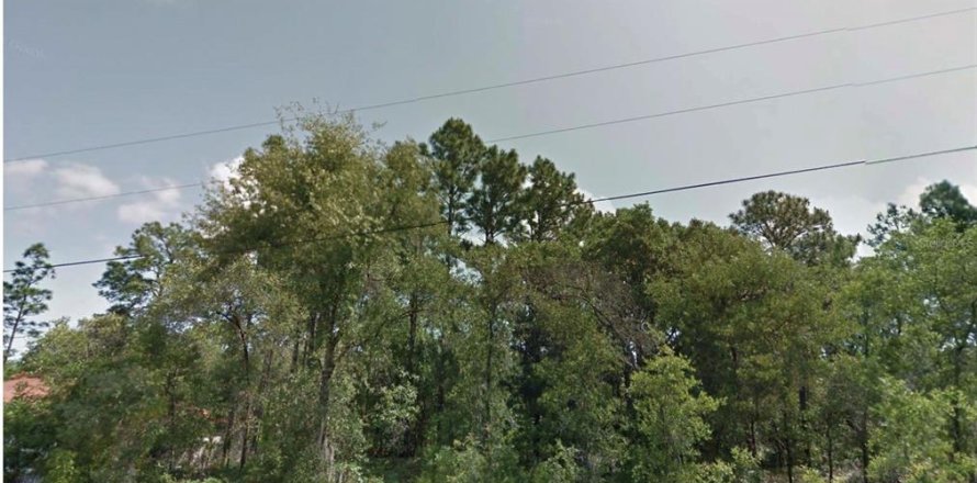 Land in Citrus Springs, Florida № 2161045
