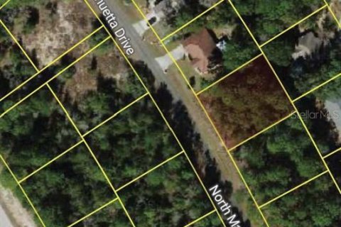 Land in Citrus Springs, Florida № 2161045 - photo 2