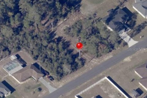 Land in Ocala, Florida № 1632279 - photo 1