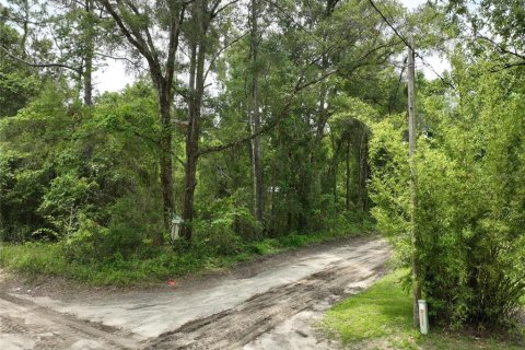 Terreno en venta en Trenton, Florida № 2221217 - foto 16
