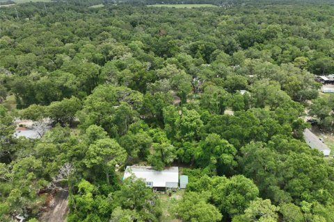 Terreno en venta en Trenton, Florida № 2221217 - foto 7