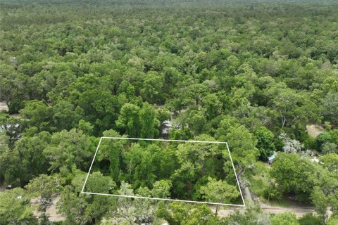 Terreno en venta en Trenton, Florida № 2221217 - foto 2