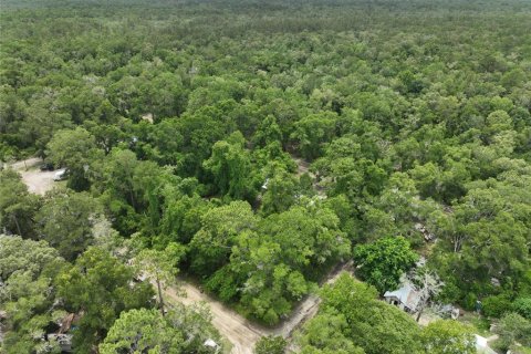 Terreno en venta en Trenton, Florida № 2221217 - foto 4