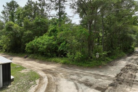 Terreno en venta en Trenton, Florida № 2221217 - foto 14