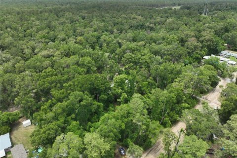Terreno en venta en Trenton, Florida № 2221217 - foto 10