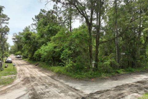 Terreno en venta en Trenton, Florida № 2221217 - foto 15